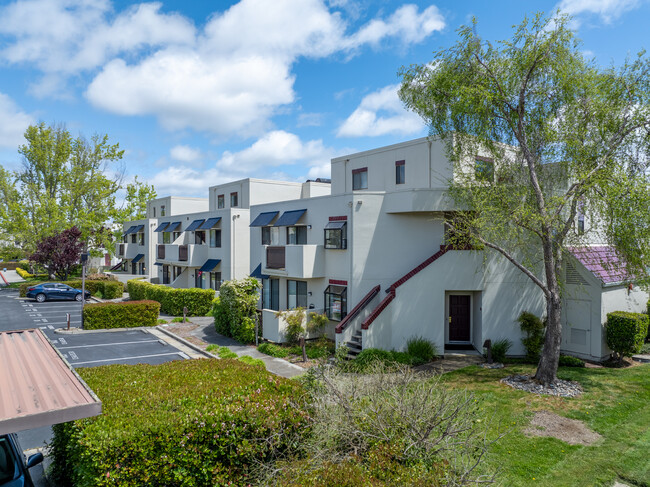 101 - 247 Shorebird Cir in Redwood City, CA - Foto de edificio - Building Photo