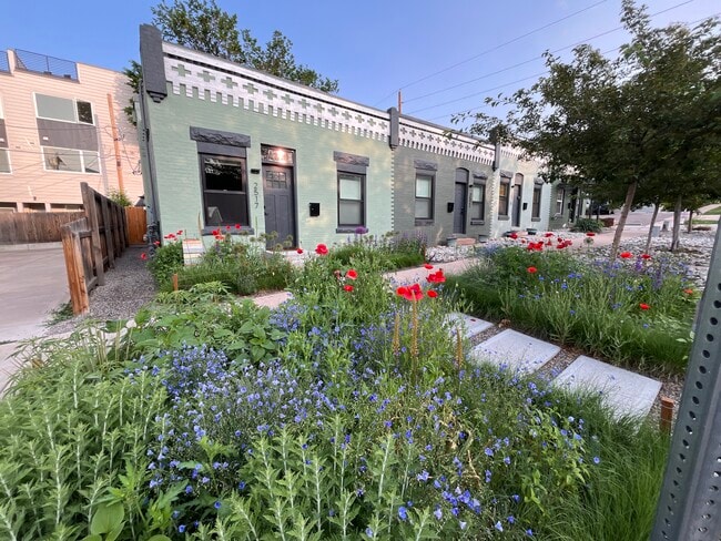 property at 2517 Clay St