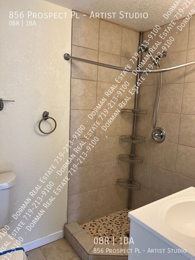 856 Prospect Pl in Manitou Springs, CO - Building Photo - Building Photo