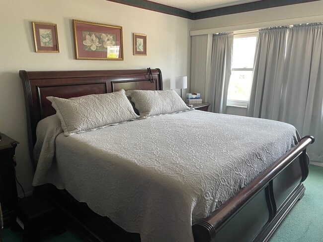 8 Glencoe Pl in Dunedin, FL - Foto de edificio - Building Photo