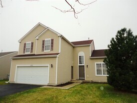 1503 Bridgehampton Dr in Plainfield, IL - Building Photo