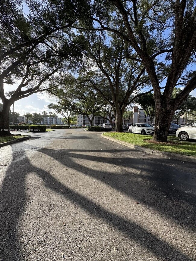 1811 Sabal Palm Dr in Davie, FL - Building Photo - Building Photo
