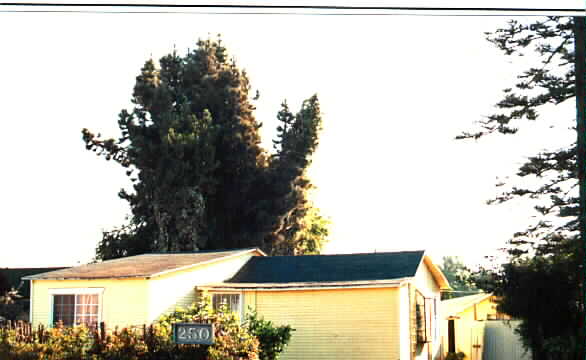 250 Nellora St in Camarillo, CA - Building Photo - Building Photo