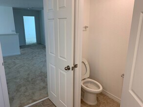 2521 Sky Stone Ct in Winter Garden, FL - Building Photo - Building Photo