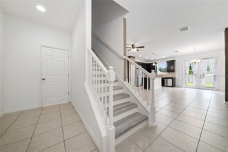 2588 Sedge Grass Wy in Orlando, FL - Foto de edificio - Building Photo