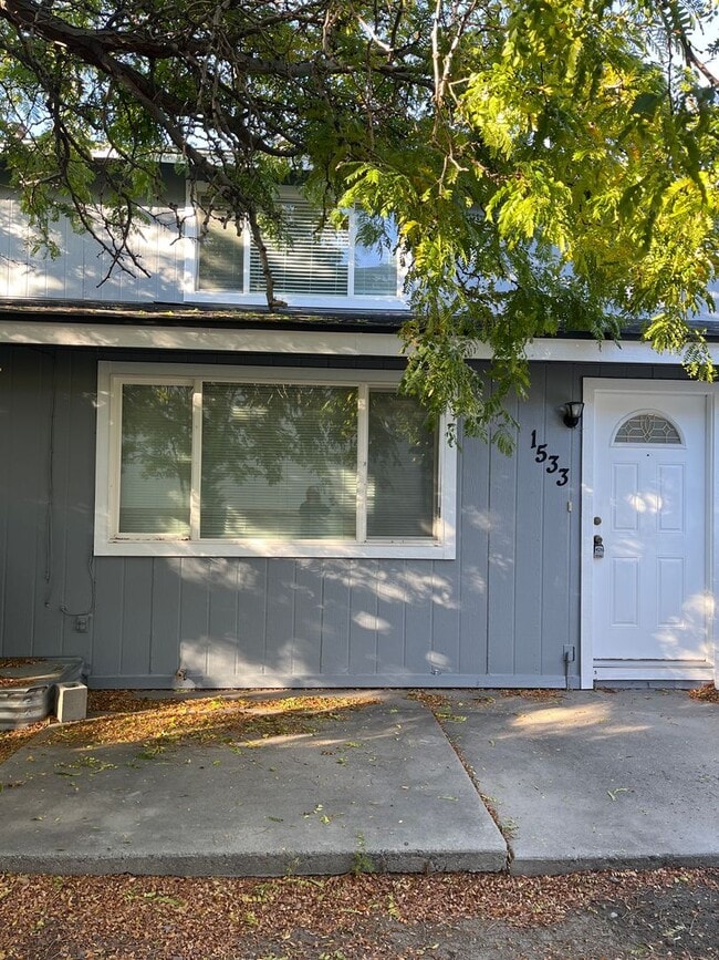 1533 E Long St in Carson City, NV - Building Photo - Building Photo