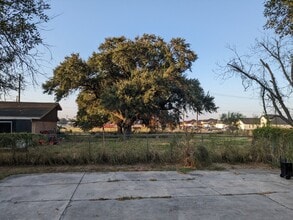 1439 N Alamo Rd in Alamo, TX - Building Photo - Building Photo
