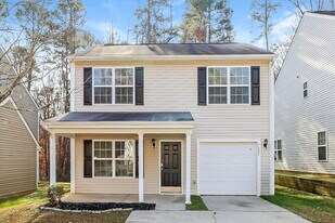 3625 Ribbonwalk Trail in Charlotte, NC - Building Photo