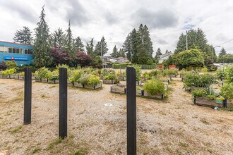 Oak & 41st in Vancouver, BC - Building Photo - Building Photo