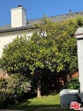 4503 Tobias Ave in Los Angeles, CA - Building Photo - Building Photo