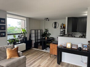 1460 N Sandburg Terrace in Chicago, IL - Building Photo - Building Photo