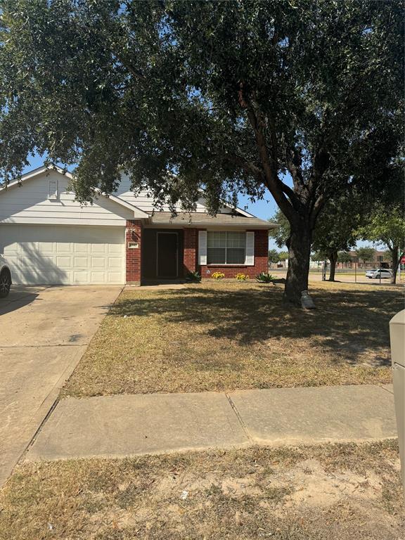 3747 Brighton Springs Ln in Katy, TX - Building Photo - Building Photo