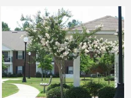 Catoosa Senior Village in Calhoun, GA - Building Photo - Building Photo