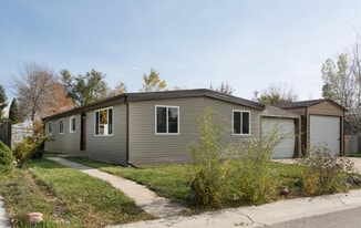 1107 Glen Dale Ct in Dacono, CO - Building Photo