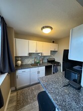 1196 N Grant St, Unit 308 in Denver, CO - Building Photo - Building Photo