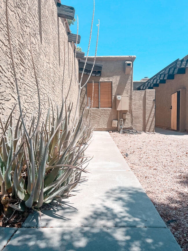 1915 N Scovel St in Tempe, AZ - Foto de edificio - Building Photo