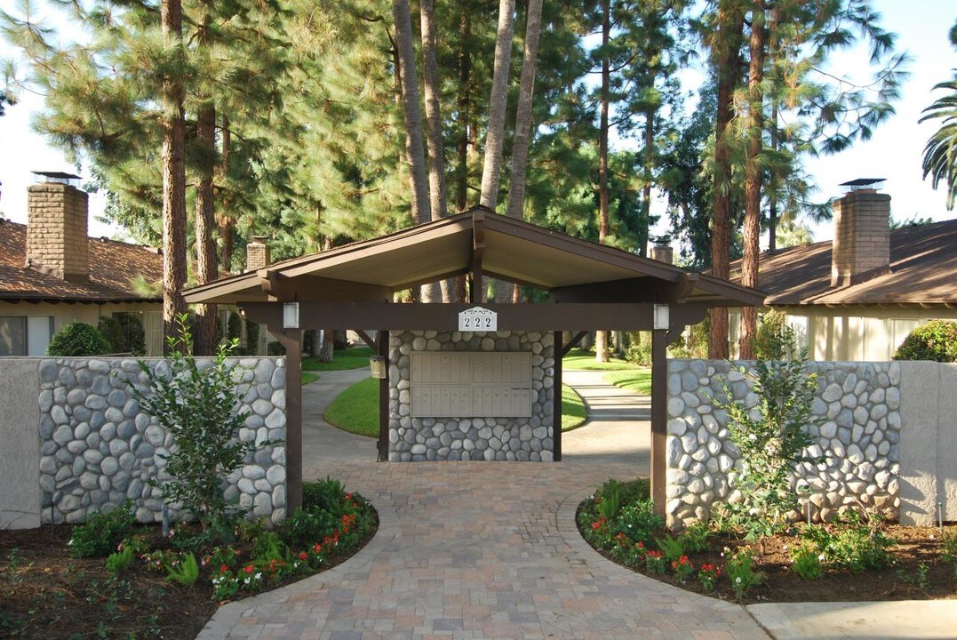 Monterey Pines in Brea, CA - Building Photo