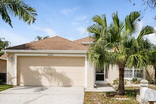22650 Hawk Hill Loop in Land O Lakes, FL - Building Photo