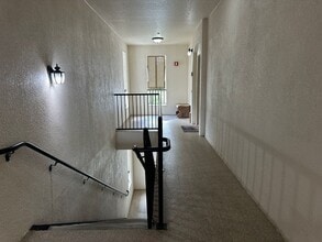 11446 Jasper Kay Terrace in Windermere, FL - Building Photo - Building Photo