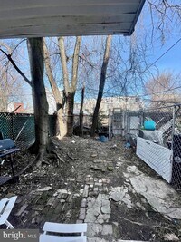 2125 W Seybert St photo'