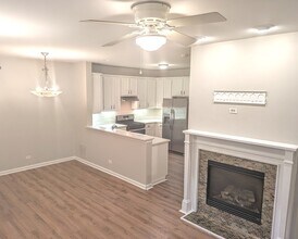 261 Springbrook Trail S in Oswego, IL - Building Photo - Building Photo