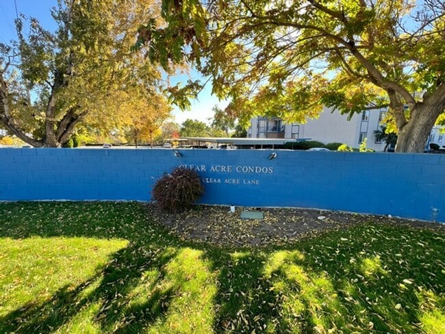 property at 2555 Clear Acre Ln