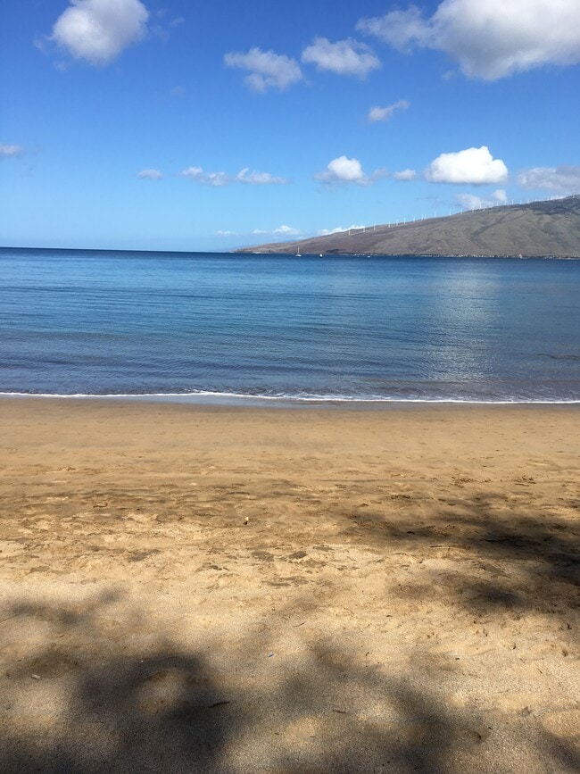 265 Kenolio Rd in Kihei, HI - Building Photo - Building Photo