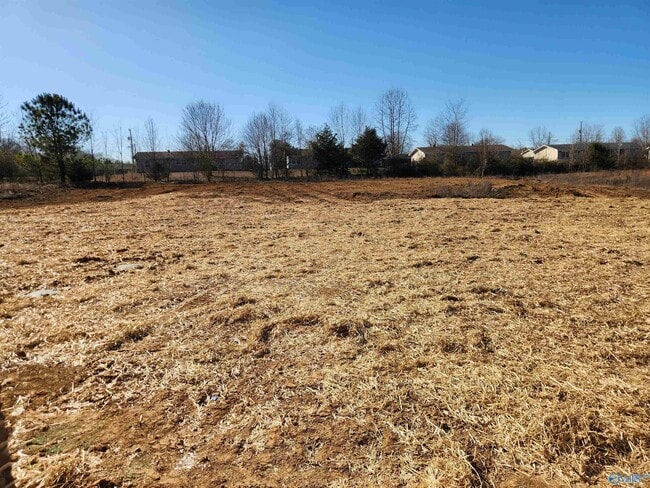 207 Fern Bank Dr in Hazel Green, AL - Building Photo - Building Photo