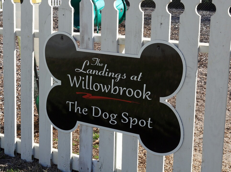 Archer at Willowbrook Photo