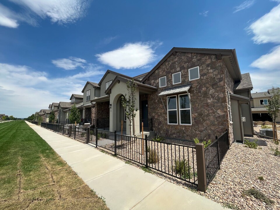 6232 Vernazza Way in Windsor, CO - Building Photo