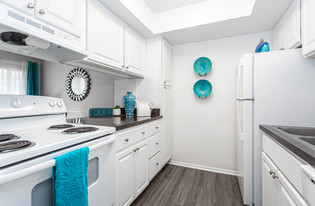 Goldelm at Salerno Apartments