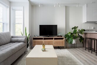 20 Haynes St, Unit 201 in Boston, MA - Building Photo - Building Photo