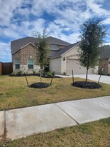 3053 Myrtle Sunset Dr in Katy, TX - Building Photo - Building Photo