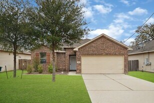 2307 Shady Tree Ln in Conroe, TX - Building Photo
