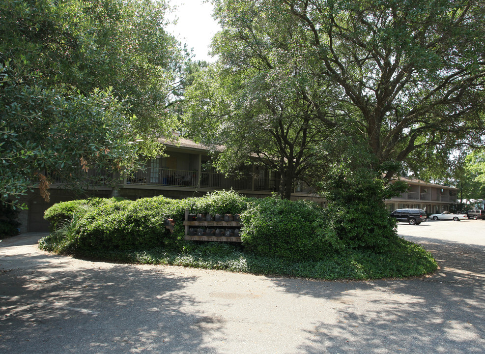419 Old Trolley Rd in Summerville, SC - Foto de edificio