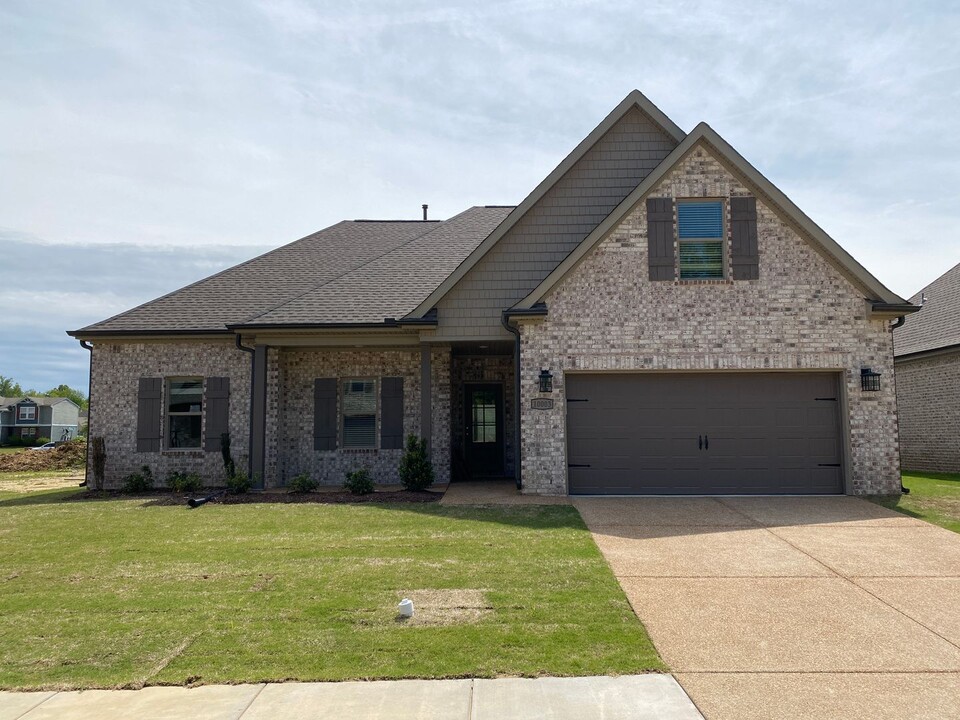 10003 Messana Cv in Cordova, TN - Building Photo