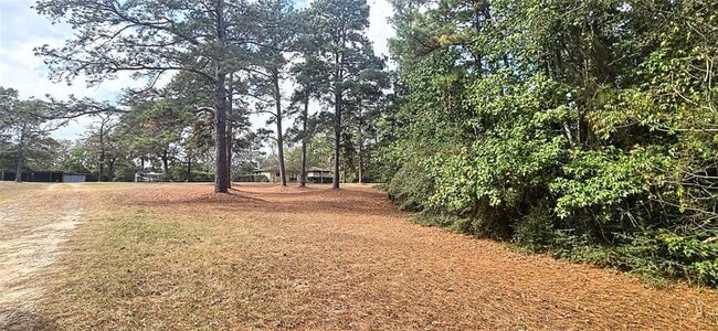 1478 Apache Dr in Montgomery, TX - Building Photo - Building Photo