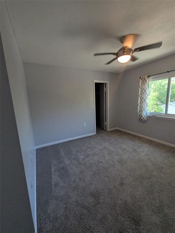 6719 Timberhill Dr in San Antonio, TX - Building Photo - Building Photo