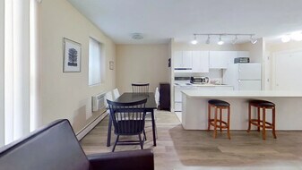 123 Sewall Ave, Unit 1A in Brookline, MA - Building Photo