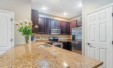 14210 Desert Haven St in Windermere, FL - Foto de edificio - Building Photo