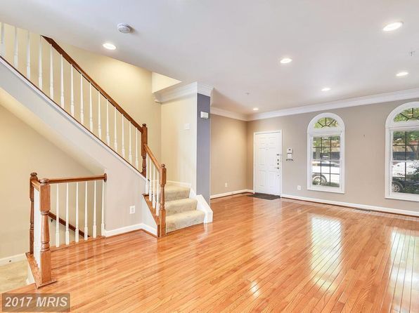 8507 Cameron St in Silver Spring, MD - Building Photo - Building Photo