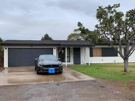 3827 Palo Dr in Bonita, CA - Building Photo