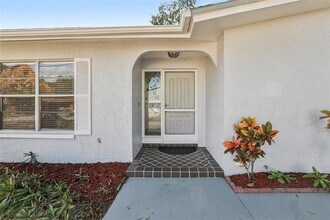 3100 N Canal Dr in Palm Harbor, FL - Building Photo - Building Photo