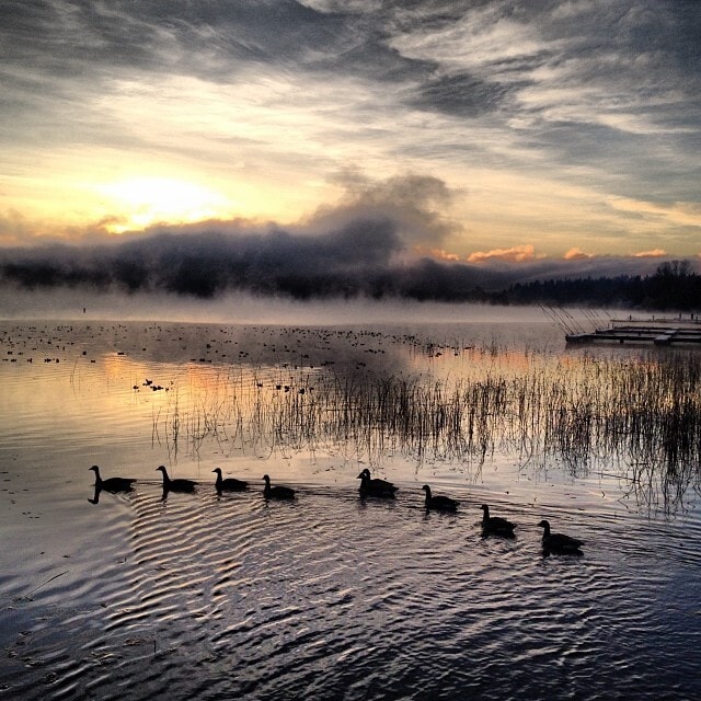 17108 Northeast 45th Street, Unit 22