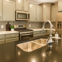 17431 54th St NE in Otsego, MN - Building Photo - Building Photo