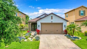 29241 Perilli Pl in Zephyrhills, FL - Building Photo