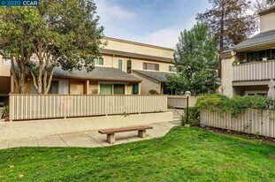 2716 Oak Rd in Walnut Creek, CA - Building Photo