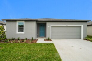 39013 Harlow Rose Dr in Zephyrhills, FL - Building Photo