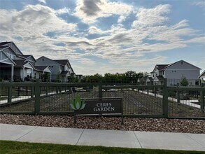 16710 Sonoma Breeze Dr in Manor, TX - Building Photo - Building Photo