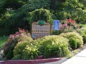 229 Baltimore Ave in Cumberland, MD - Building Photo - Building Photo